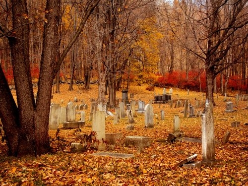 Autumn grave yard Autumn grave yard