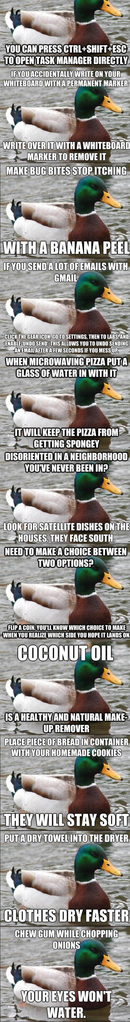 DIY Tips DIY Tips