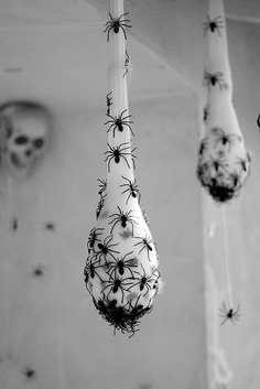 Spooky spider egg sac Spooky spider egg sac