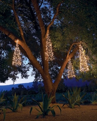Hanging trees Hanging trees