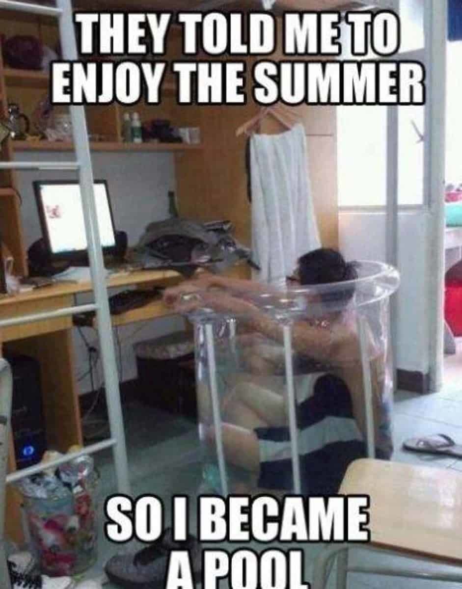 Summer Pool Rwitter They Told Me To Enjoy The Summer, So I Became A Pool Pictures, Photos ...