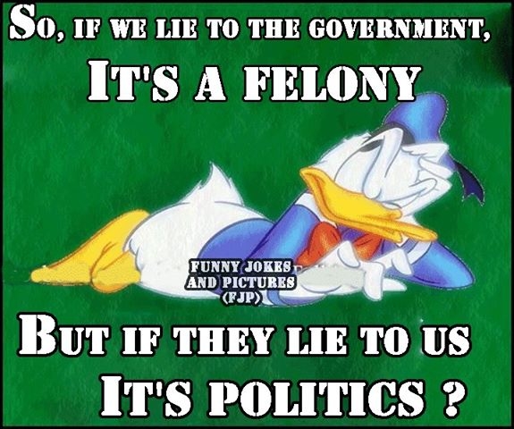 Politics felony