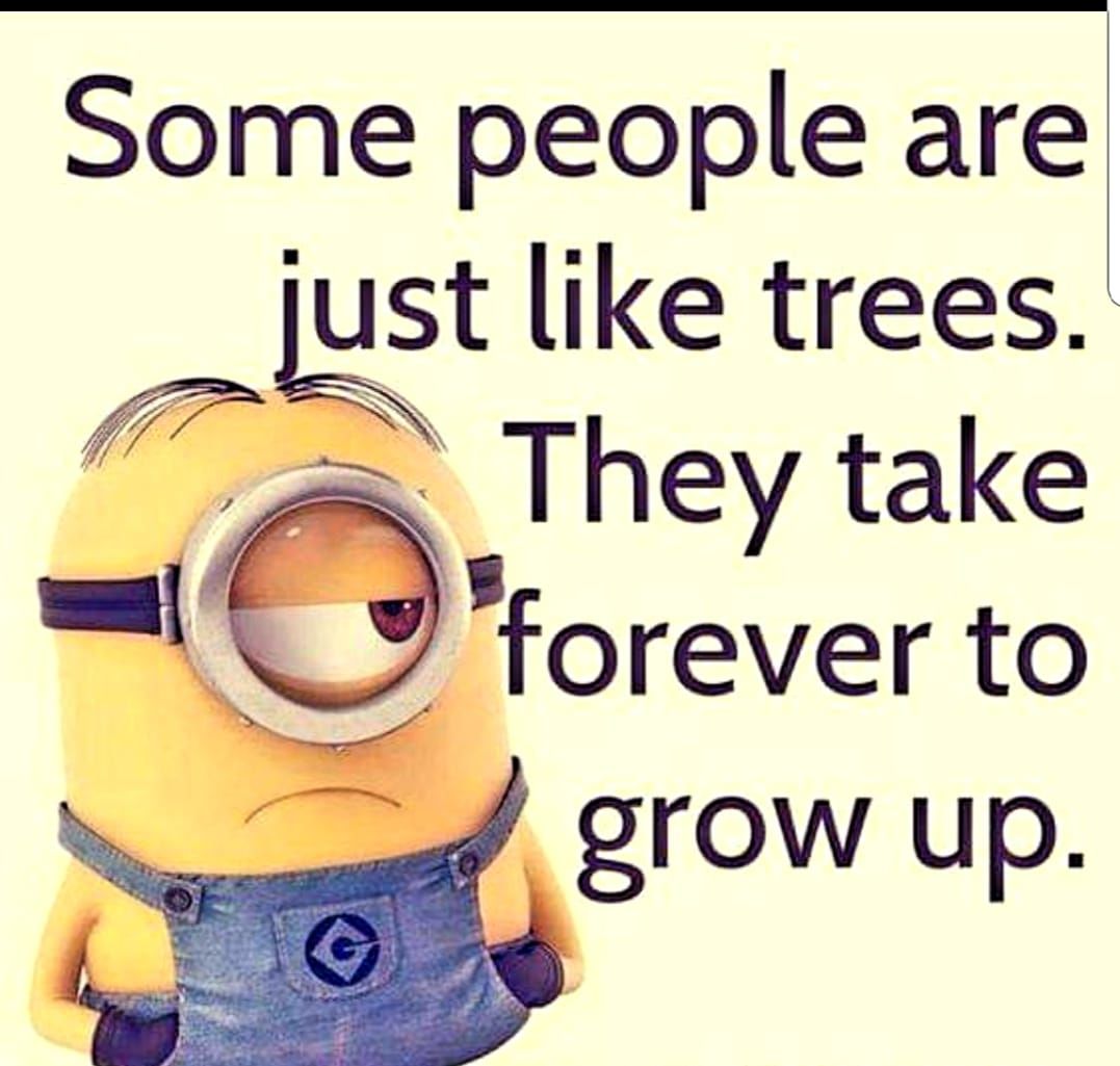 Some People Are Just Like Trees. They Take Forever To Grow Up. Pictures