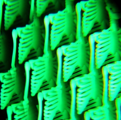 Glow in the dark skeletons