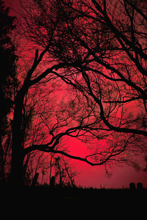 Red sky