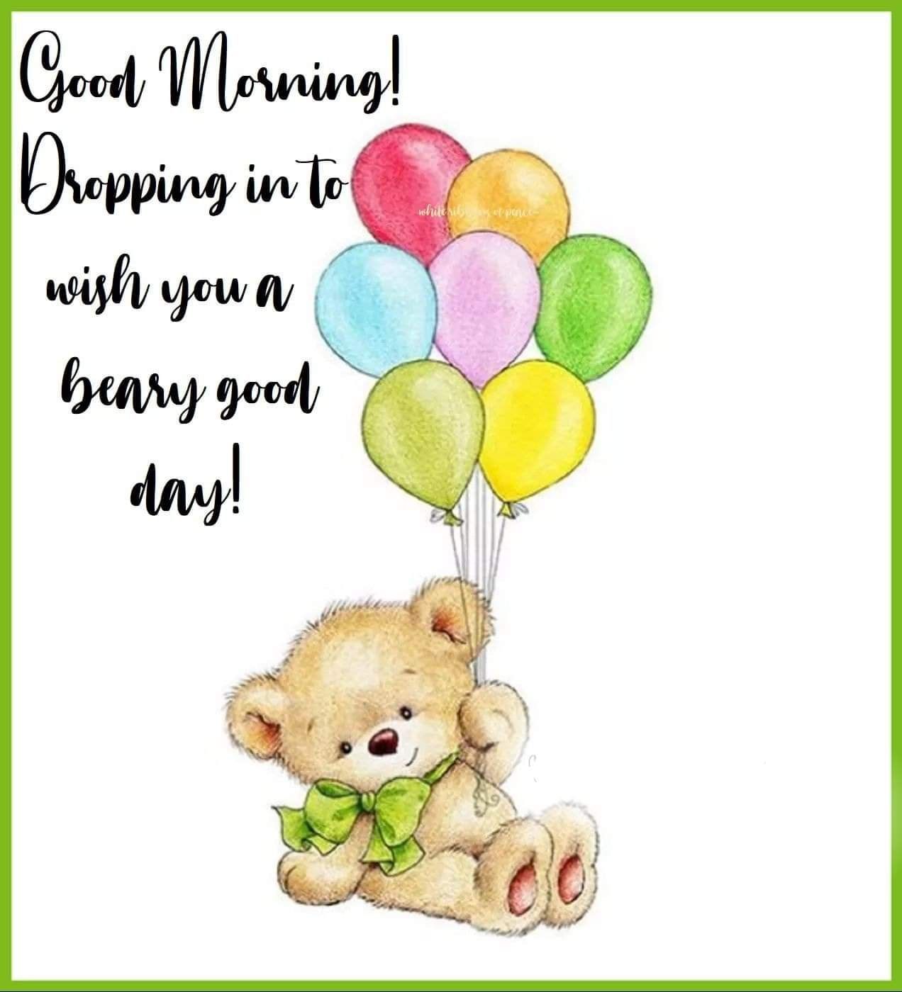 Dropping In To Wish You A Beary Good Day! Pictures, Photos, and Images ...