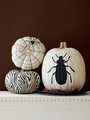 Black and white pumpkins Black and white pumpkins