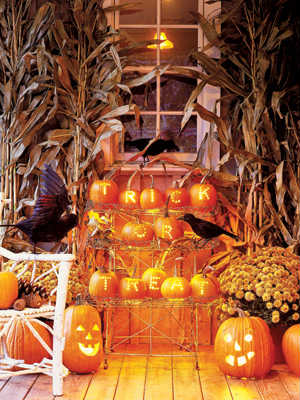Pumpkin greeting Pumpkin greeting