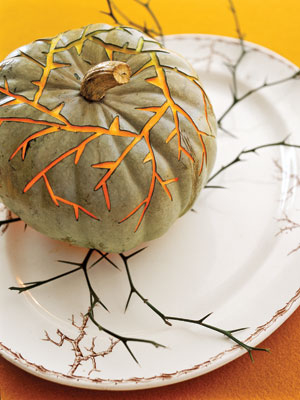 Thorny vines pumpkin Thorny vines pumpkin