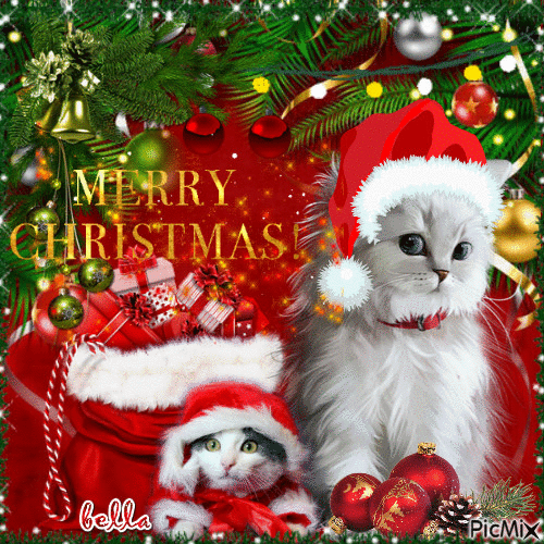 White Kittens Merry Christmas Gif Pictures, Photos, and Images for