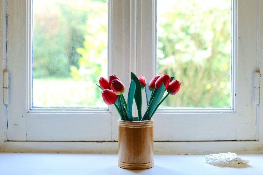 Tulips By The Window Pictures, Photos, and Images for Facebook, Tumblr