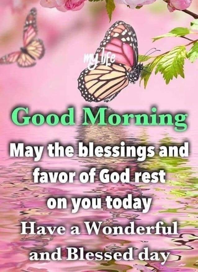 Good Morning May The Blessings And Favor Of God Rest On You Today