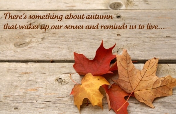 There's something about Autumn