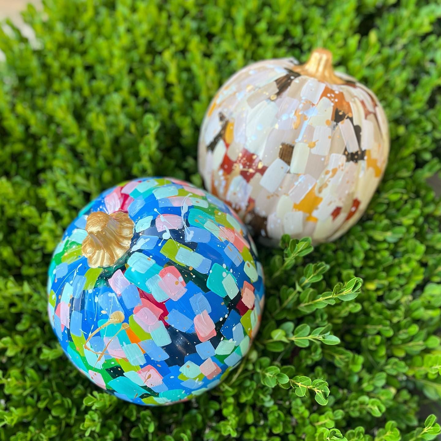 Confetti Pumpkins Pictures, Photos, and Images for Facebook, Tumblr