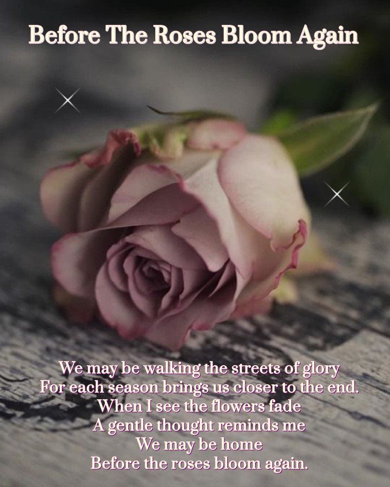 Before The Roses Bloom Again Pictures, Photos, and Images for Facebook