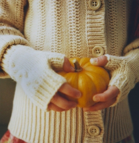 Sweater and pumpkin Sweater and pumpkin