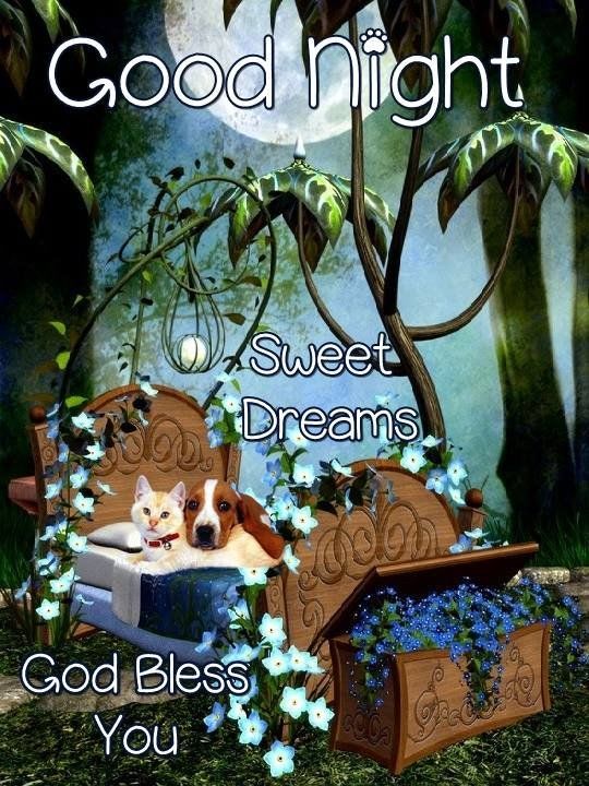 Good Night And Sweet Dreams To You Pictures, Photos, and Images