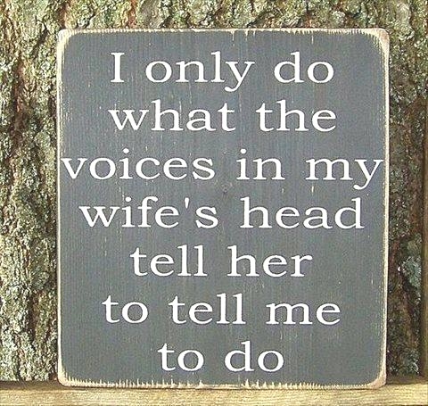 voices in my wifes head