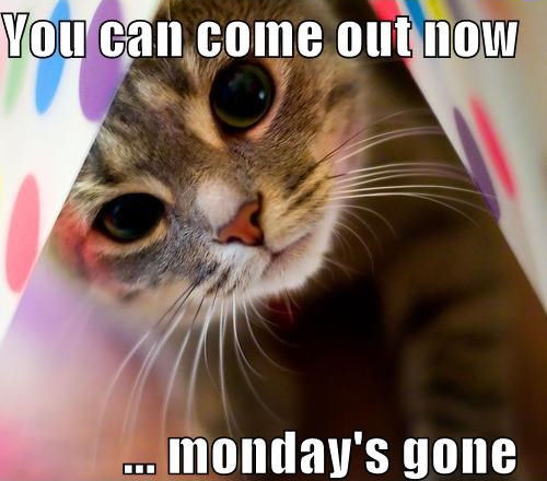 You can come out now Mondays over You can come out now Mondays over