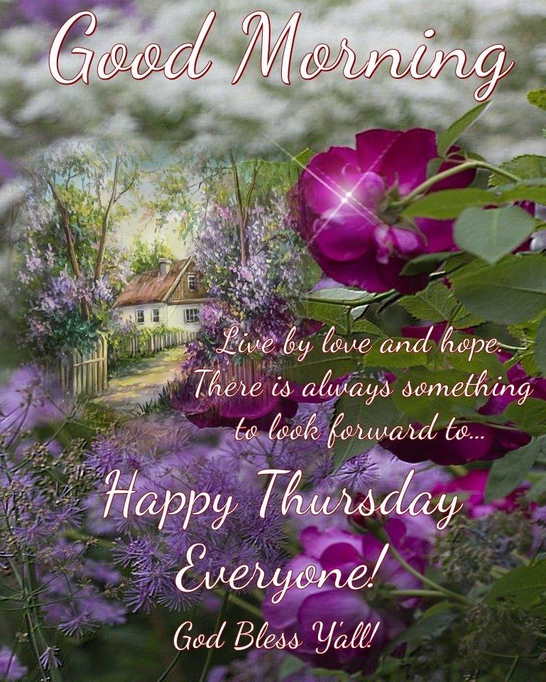 Happy Thursday Everyone! Good Morning Pictures, Photos, and Images for ...