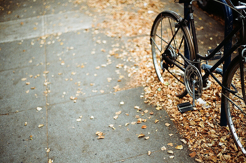 Bike in the leaves Bike in the leaves