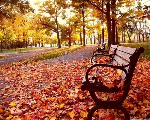 Fall park Fall park
