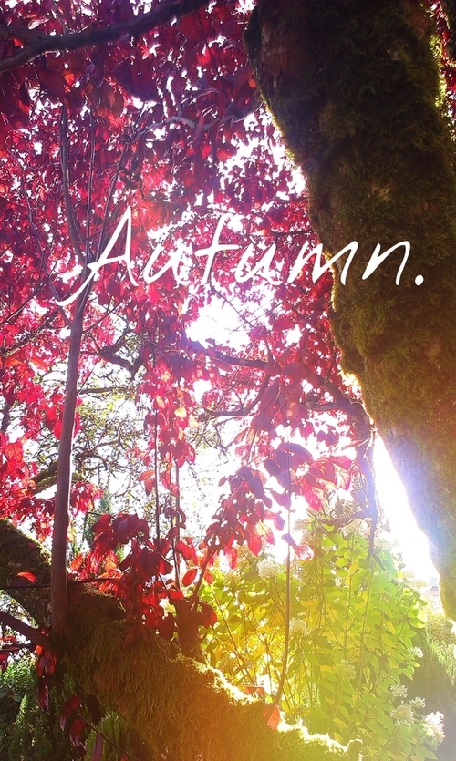 Autumn