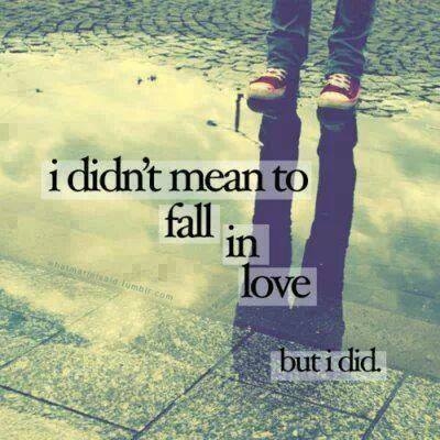 I didn't mean to fall in love but I did I didn't mean to fall in love but I did