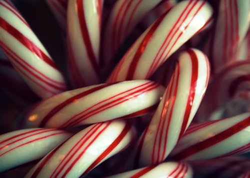 Candy canes Candy canes