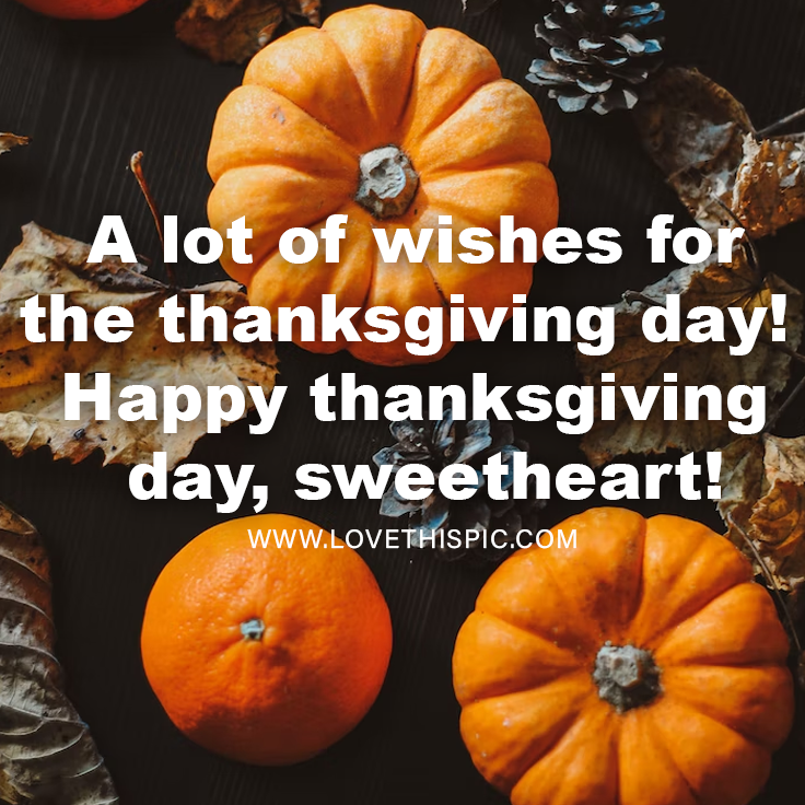 A Lot Of Wishes For The Thanksgiving Day! Happy Thanksgiving Day
