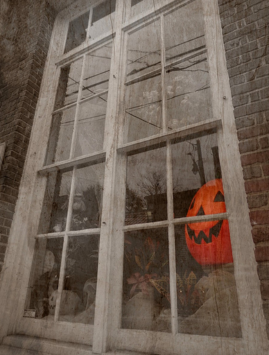 Pumpkin in the window