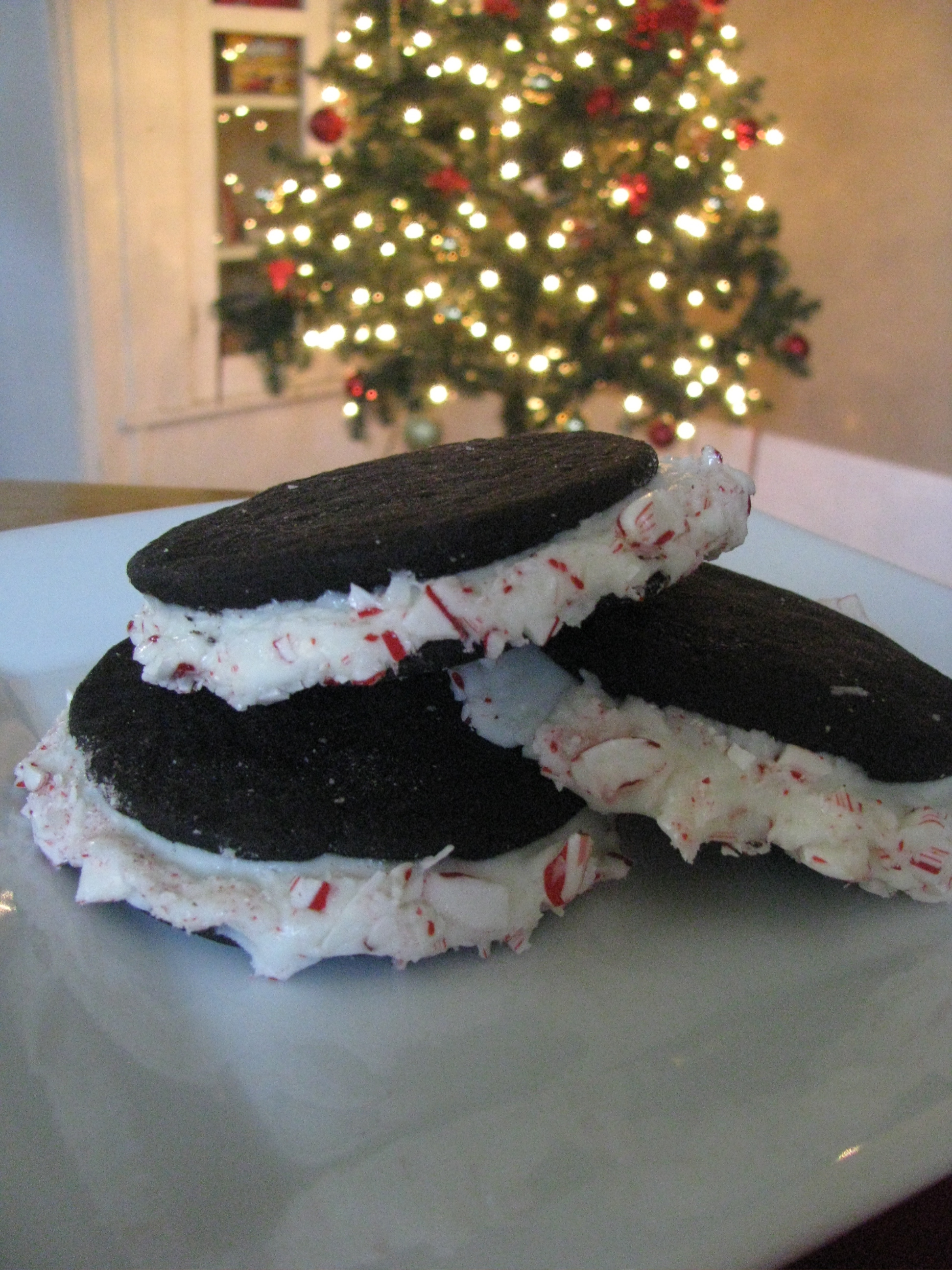 Chocolate candy cane cookies
