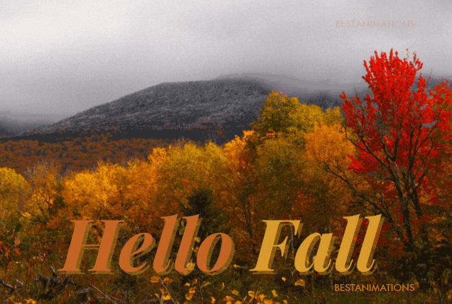 Hello Fall Pictures, Photos, and Images for Facebook, Tumblr, Pinterest ...