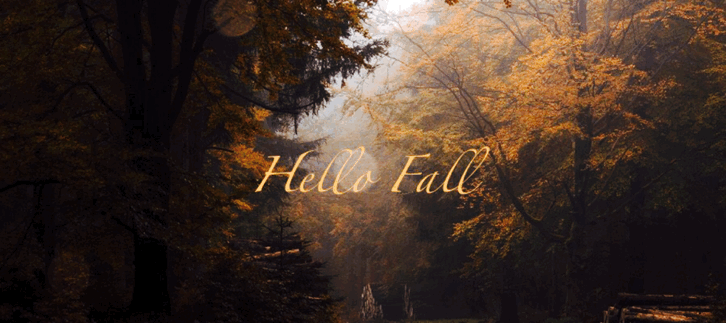 426042-Bokeh-Hello-Fall-Gif.gif