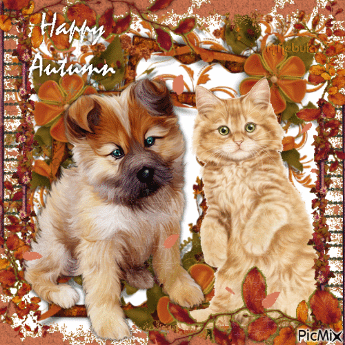 Dog & Cat Happy Autumn Pictures, Photos, and Images for Facebook