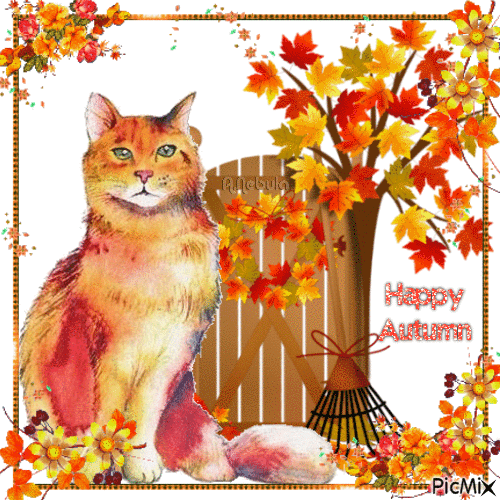 Fall Cats Happy Autumn Pictures, Photos, and Images for Facebook