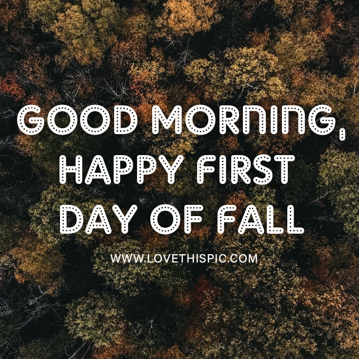 Overhead Of Tree Good Morning, Happy First Day Of Fall Pictures