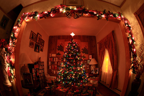 Fish eye lens of a christmas tree Fish eye lens of a christmas tree