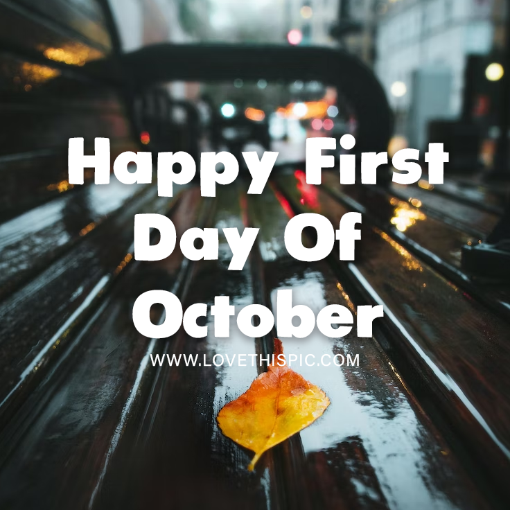 October Dripping Wet Bench And Leaf - Happy First Day Of October Pictures, Photos, and ...