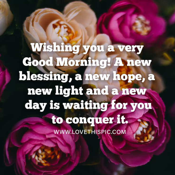 Wishing You A Very Good Morning! A New Blessing, A New Hope, A New