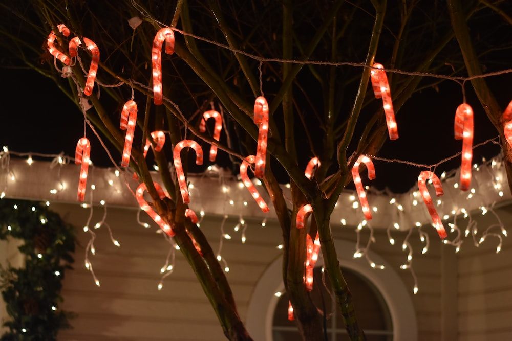 Candy Cane Lights Decoration Pictures Photos And Images For Facebook