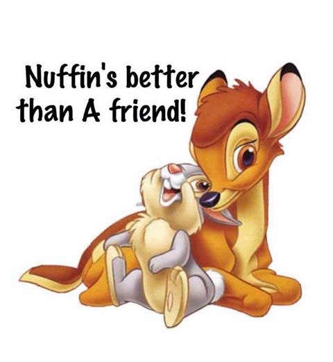 Nuffins Better
