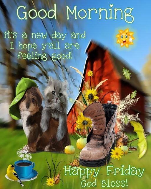 It's A New Day And I Hope Yall Are Feeling Good. Good Morning Pictures