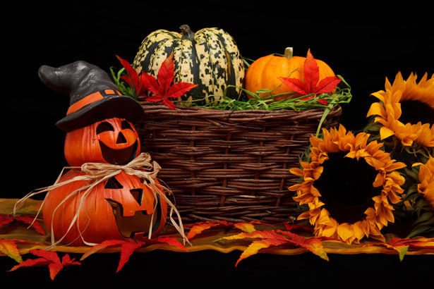 Autumn Decorations Autumn Decorations