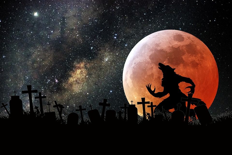Werewolf Howling At Moon
