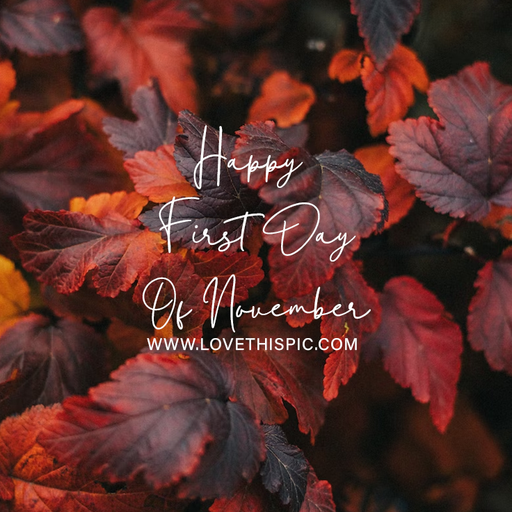 happy-first-day-of-november-pictures-photos-and-images-for-facebook