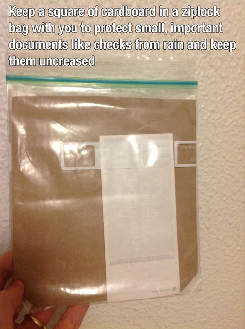Keep cardboard in a ziplock bag Keep cardboard in a ziplock bag