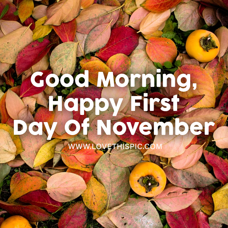 good-morning-happy-first-day-of-november-pictures-photos-and-images