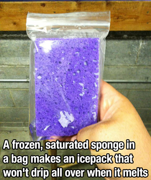 Frozen sponge as an icepack