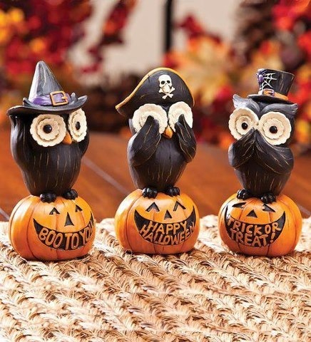 Owls Owls